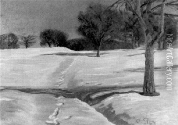 Sonnige Winterlandschaft Oil Painting - Otto Pilny