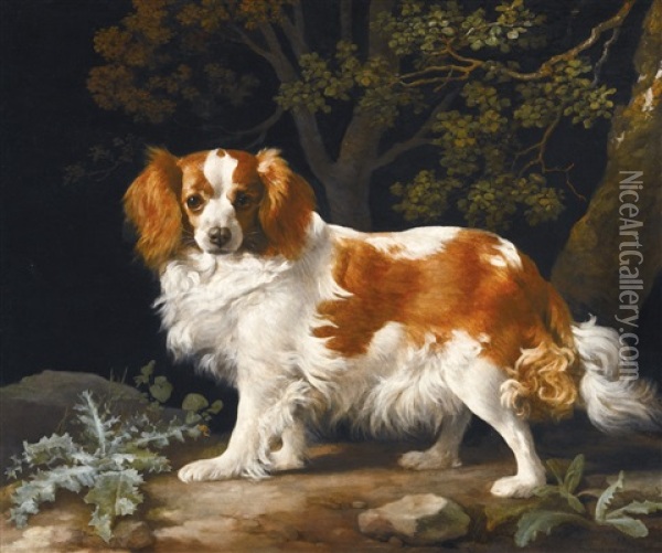 King Charles Spaniel Oil Painting - George Stubbs