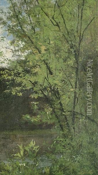A Study Of Trees Oil Painting - Francois Alfred Delobbe