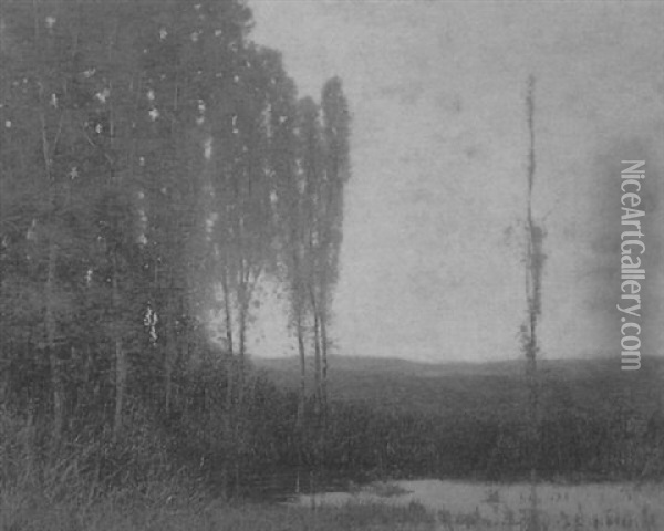 Misty Landscape With Pond Oil Painting - Robertson K. Mygatt