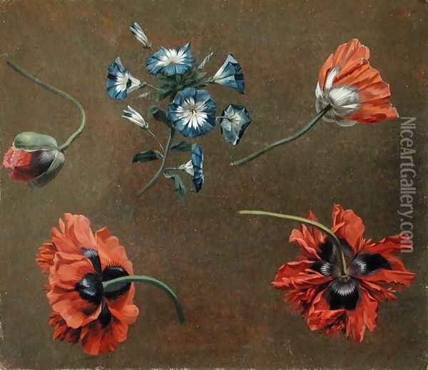 Poppies and Tradascanthus Oil Painting - Anonymous Artist