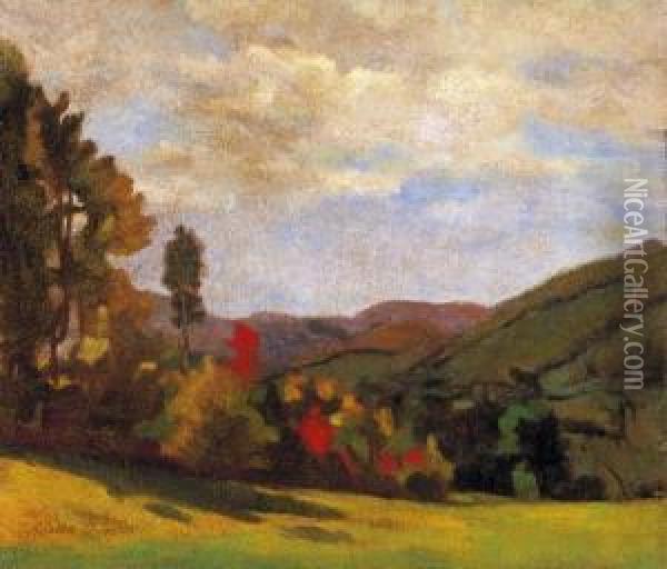 Nagybanya Landscape In Autumn Oil Painting - Janos Krizsan