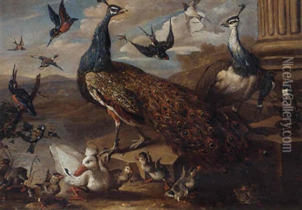 A Peacock And A Peahen, Swallows, Kingfishers, Ducks, And Ducklings By A Classical Column, In A Landscape Oil Painting - Jakob Bogdani