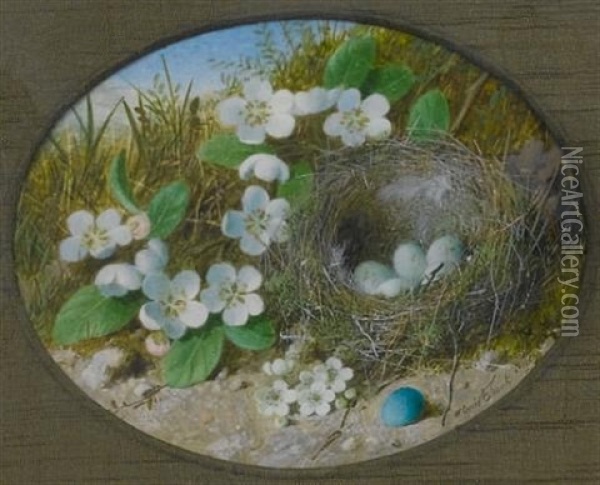 A Pair Of Still Lifes: One Of A Bird's Nest Surrounded By White Flowers, A Blue Egg In The Foreground; One Of A Dead Bird Lying Beside A Bird's Nest Surrounded By White Flowers Oil Painting - William Cruickshank