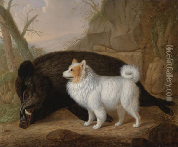A Giant German Spitz With A Wild Boar Oil Painting - Christian Wilhelm K. Kehrer