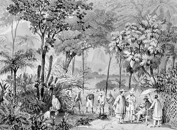 The Chinese Tea Plantation in the Botanic Gardens at Rio de Janeiro, engraved by Leon Jean Baptiste Sabatier fl.1827-87 and Victor Adam 1801-66 c.1835 Oil Painting - Johann Moritz Rugendas