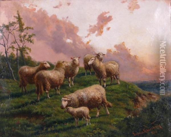 Sheep In A Pasture Oil Painting - Eugene Joseph Verboeckhoven