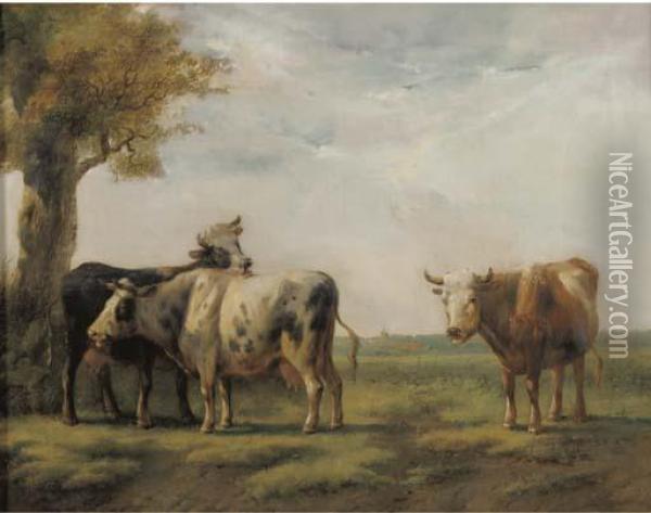 Cattle In A Sunlit Landscape Oil Painting - Albertus Verhoesen