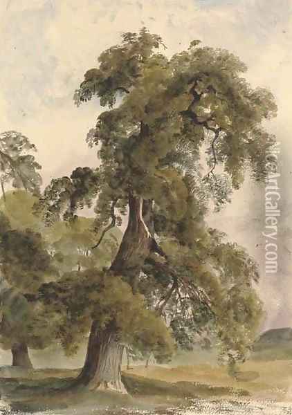 The park at Shrubland Hall, Suffolk Oil Painting - Harriet Cheney