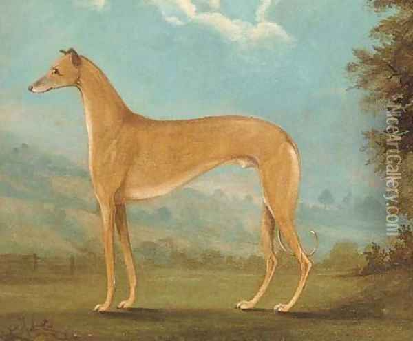 A greyhound in a landscape Oil Painting - English School