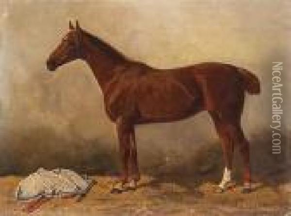 Picture Of A Horse Oil Painting - Emil Volkers