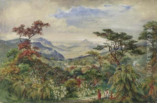 Ramboda Pass, Ceylon Oil Painting - Constance Fredericka Cumming