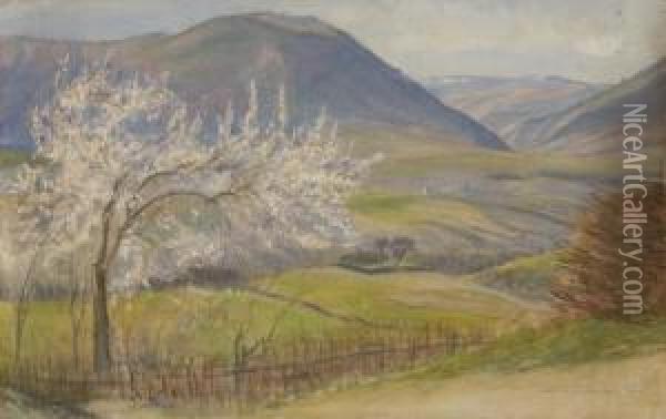 Vallata In Primavera Oil Painting - Napoleone Parisani