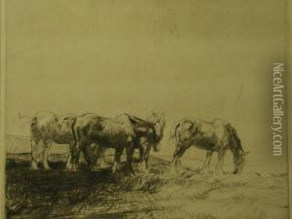 Study Of Four Ponies Oil Painting - John P. Nicolson