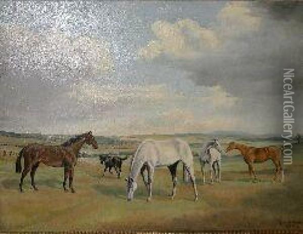Horses In A Landscape Oil Painting - George Devy