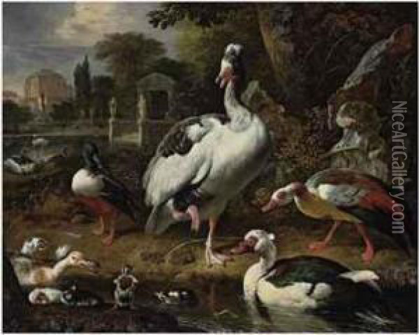 A Grey And White Crested Goose, A
 Shoveler, A Muscovy Duck,goslings, Ducklings And Other Fowl In A Park, 
Elegant Buildingsbeyond Oil Painting - Melchior de Hondecoeter