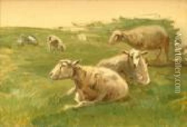 Sheep Resting Oil Painting - Anton Mauve