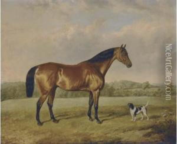 A Bay Hunter With A Terrier In An Extensive Landscape Oil Painting - Edmund Bristow