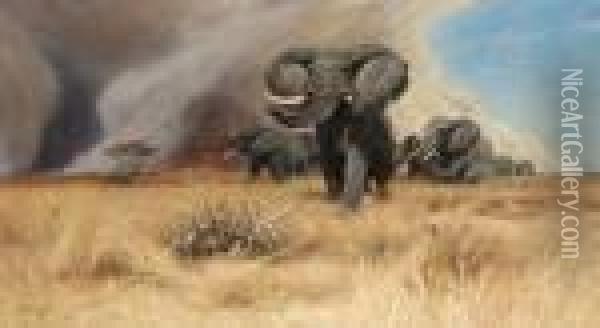 Elephants Oil Painting - Wilhelm Kuhnert