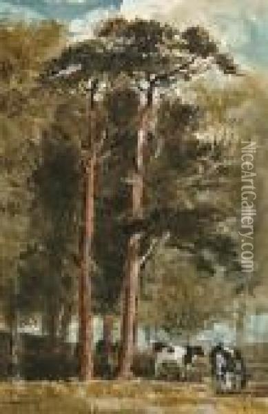 Cattle Grazing Under Scotts Pines Oil Painting - William James Muller