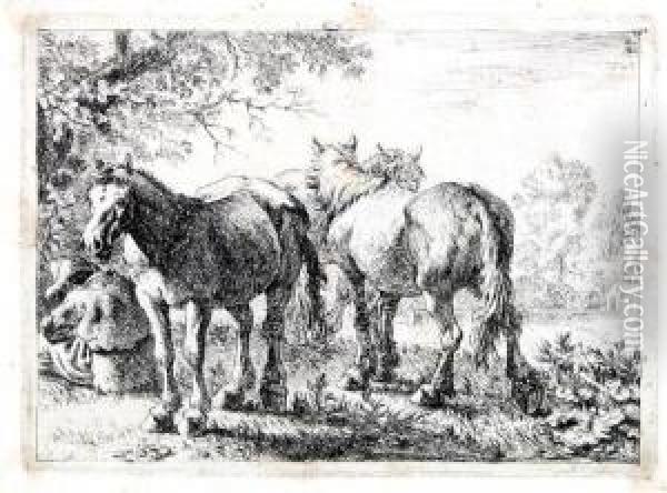 Drei Pferde Oil Painting - Pieter Van Laer (BAMBOCCIO)