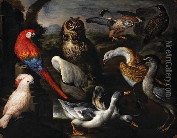 Exotic Birds In A Landscape Oil Painting - Pietre-Neri Scacciati