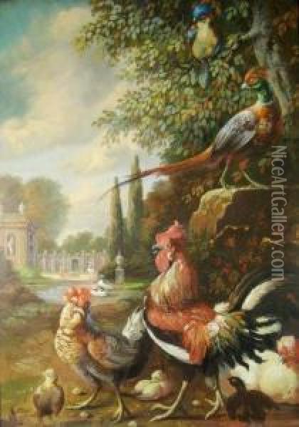 Cockerel And Pheasants In An Ornamental Garden Oil Painting - Jakob Bogdani Eperjes C