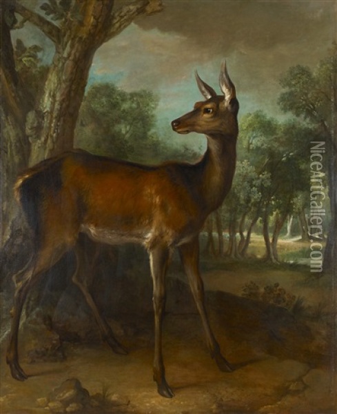 Nature Morte Au Lievre Et Au Fusain Oil Painting - Jean-Baptiste Oudry