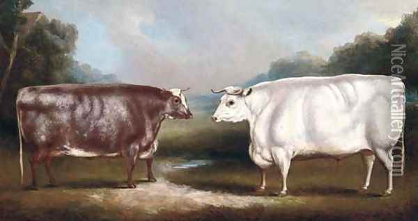 A prize heffer and a prize cow Oil Painting - William Henry Davis