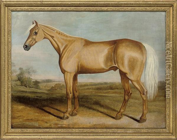 The Racehorse Silvertail Standing In An Extensive Landscape Oil Painting - James Russell Ryott