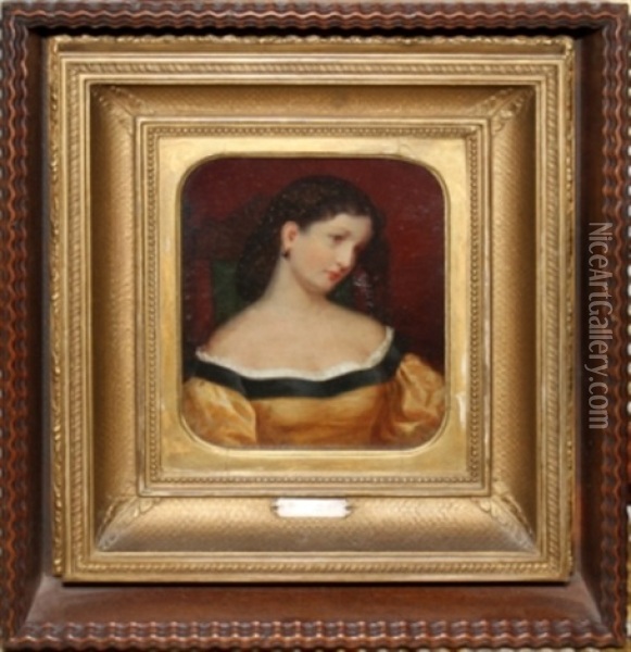 Portrait Of Young Lady In Gold Dress Oil Painting - William Henry Furness Jr.