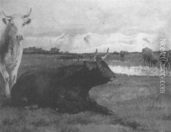 Cattle In A Landscape Oil Painting - Auguste (Francois Auguste) Bonheur