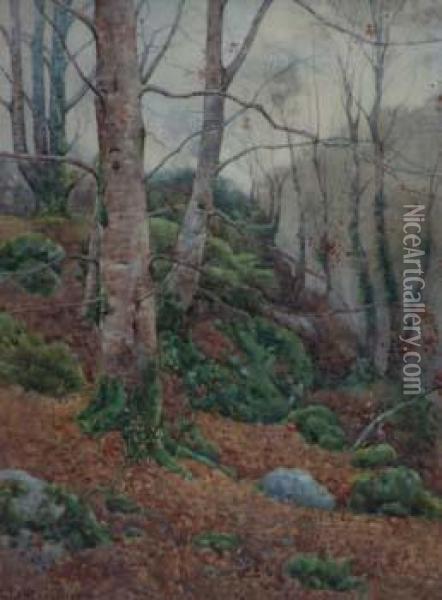 Woodland Scene Oil Painting - Ralph William Bardill