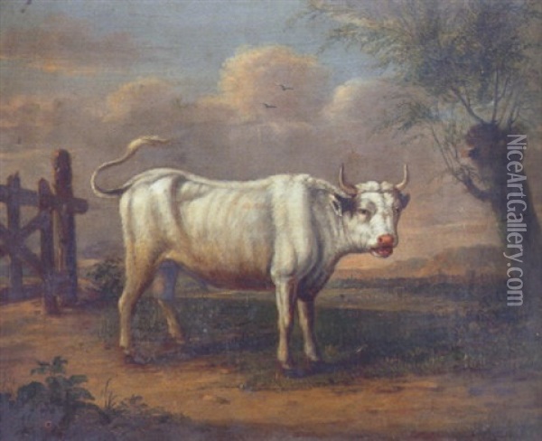 A Study Of A White Bull, Standing Beside A Gate And A Pollarded Willow Oil Painting - Paulus Potter