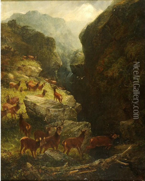 Deer In A Highland Glen Oil Painting - Joseph Adam