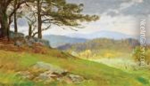 Canaan Landscape With Pine Trees Oil Painting - William Trost Richards