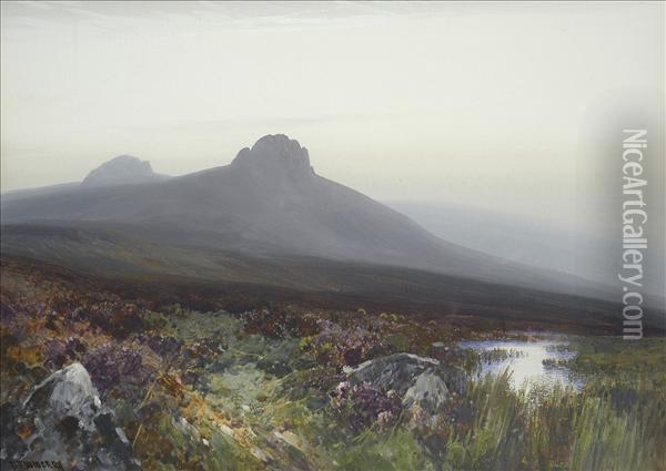 Earlymorning Mist, A Moorland Pool Oil Painting - Frederick John Widgery