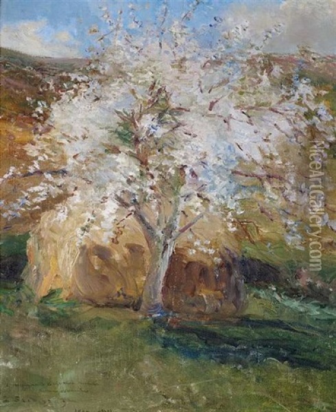 Bluhender Baum In Fruhlingslandschaft Oil Painting - Ferenc (Francois) Szikszay