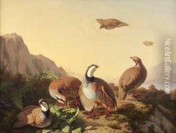 French Partridge At Evening Oil Painting - Simon Saint-Jean