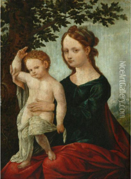 Virgin And Child Oil Painting - Jan Van Scorel