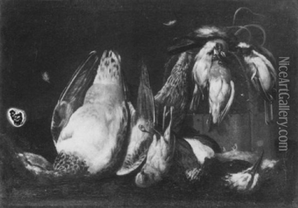 Jagdstilleben Mit Erlegten Vogel Oil Painting - Jan Fyt