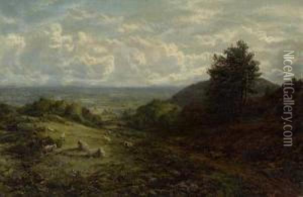 Englische Sommerlandschaft Mit Schafen Oil Painting - George William Mote