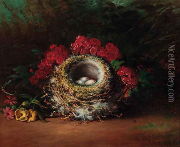 Apple blossom, bird's nests and eggs on a mossy bank Oil Painting - Tom Hold