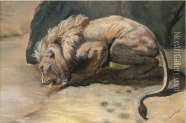 A Lion Drinking Oil Painting - Louis Somers