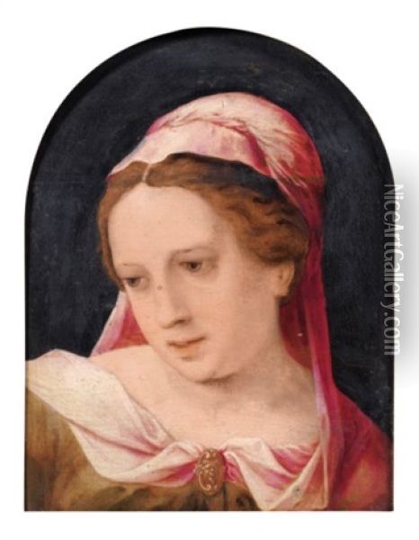 Jeune Femme Portant Un Voile Rose Oil Painting - Jan Sanders (Jan van) Hemessen
