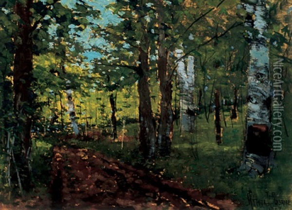 Birch Forest Oil Painting - Arthur Dominique Rozaire