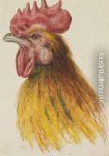 Tete De Coq Oil Painting - Pancrace Bessa