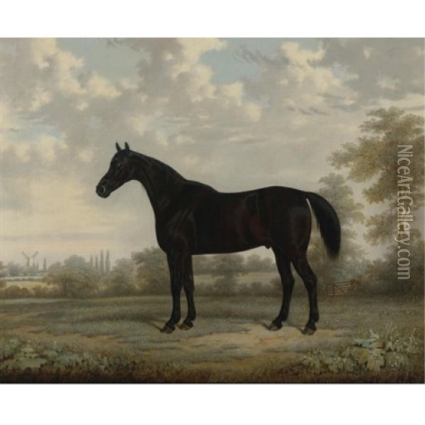 A Bay Horse In A Landscape Oil Painting - Edward (of Coventry) Brown