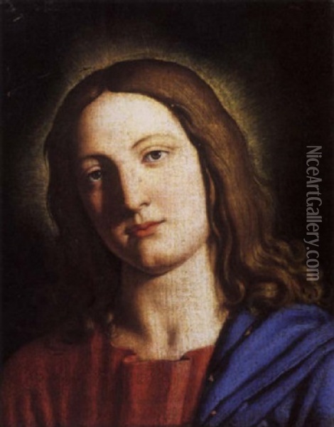 The Young Christ Oil Painting - Giovanni Battista Salvi (Il Sassoferrato)
