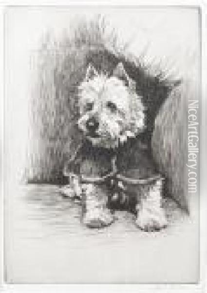West Highland Terrier Oil Painting - Cecil Charles Aldin